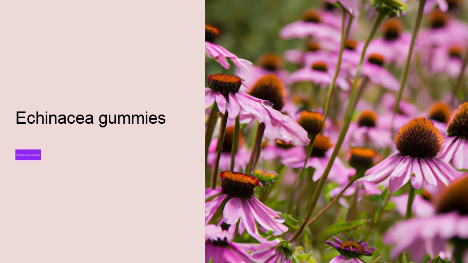 echinacea gummies