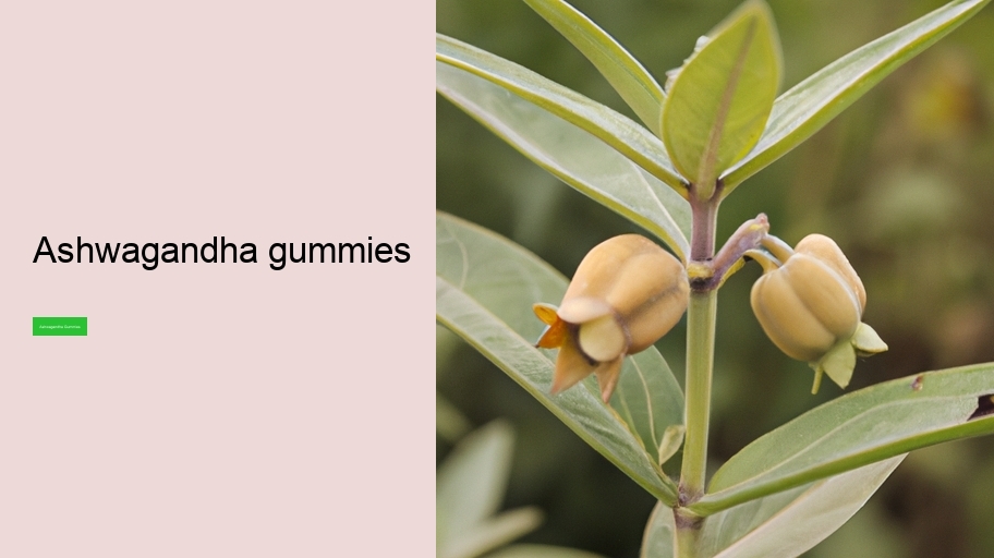 ashwagandha gummies