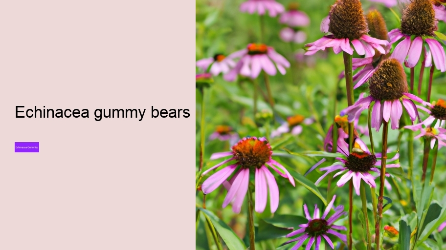 echinacea gummy bears