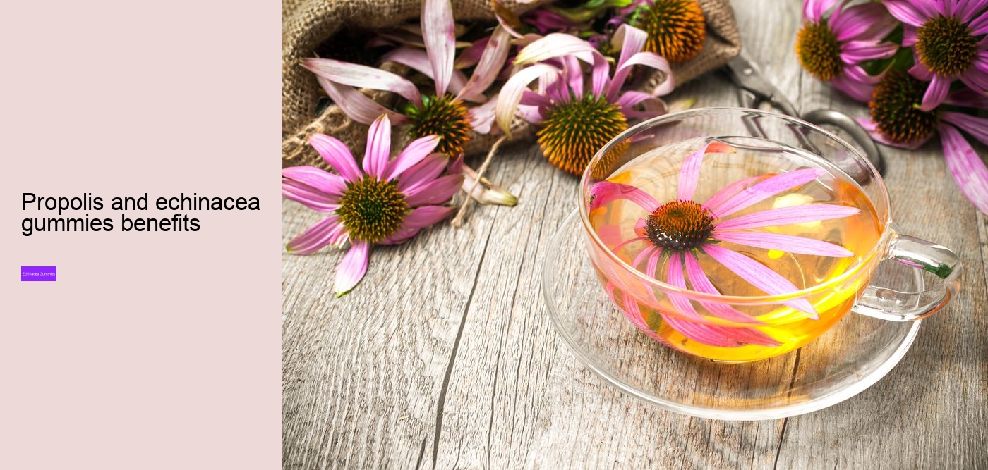 elderberry echinacea gummies