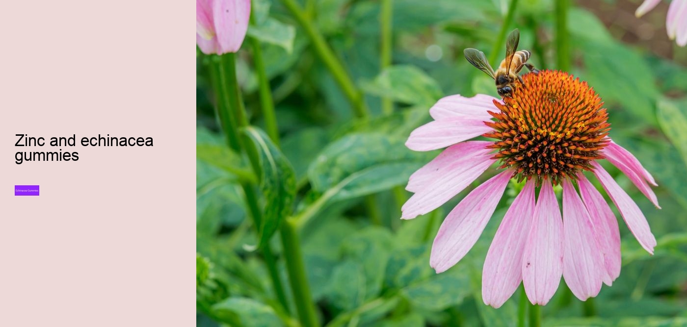 multivitamin gummies with echinacea extract