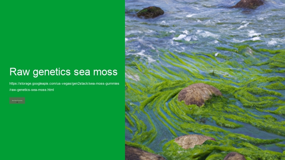 raw genetics sea moss