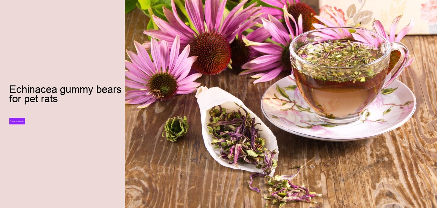 echinacea gummies for adults