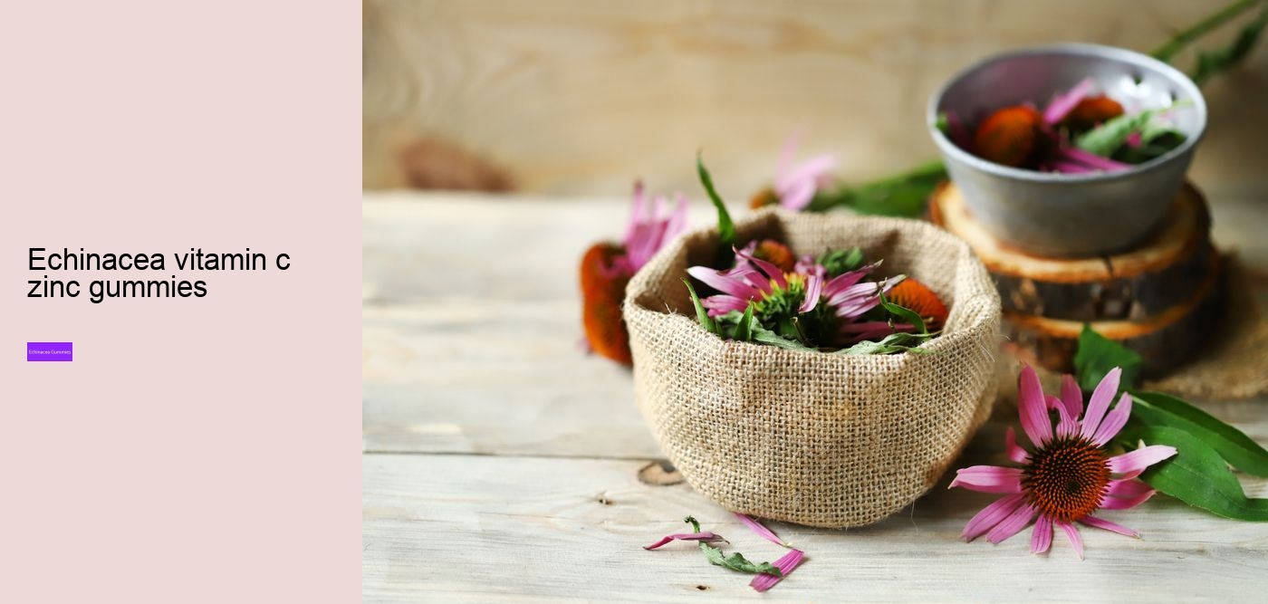 elderberry gummies with zinc and echinacea