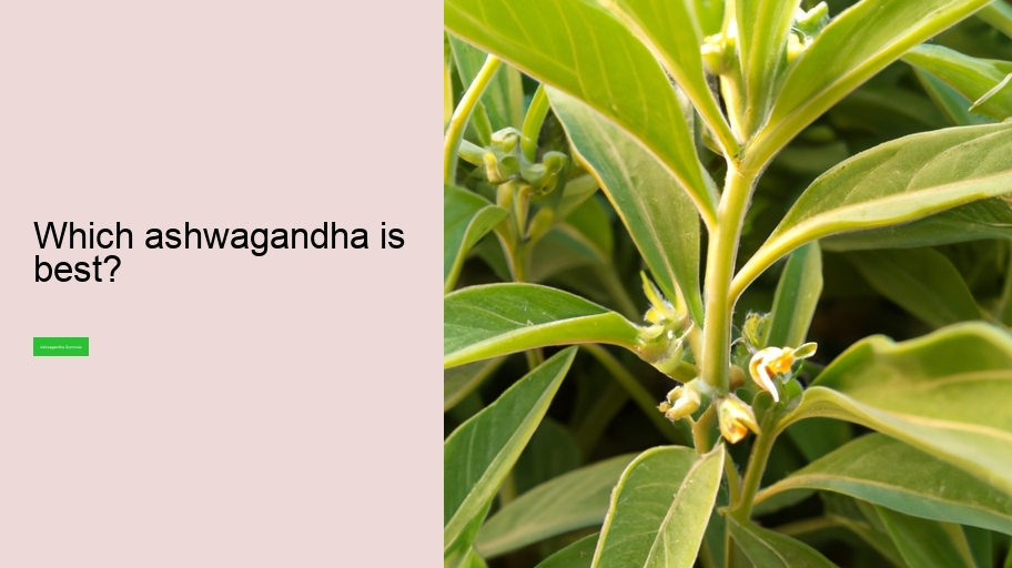 Which ashwagandha is best?