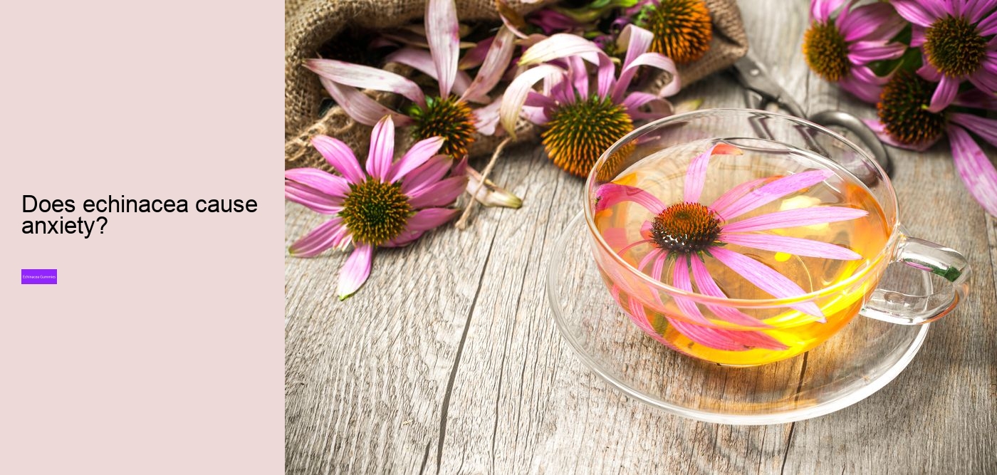 Who should not take echinacea?