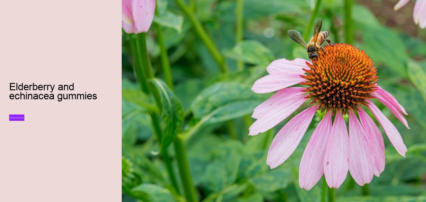 Does echinacea increase histamine?