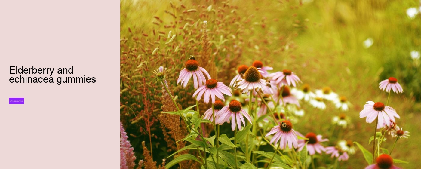 echinacea gummy bears