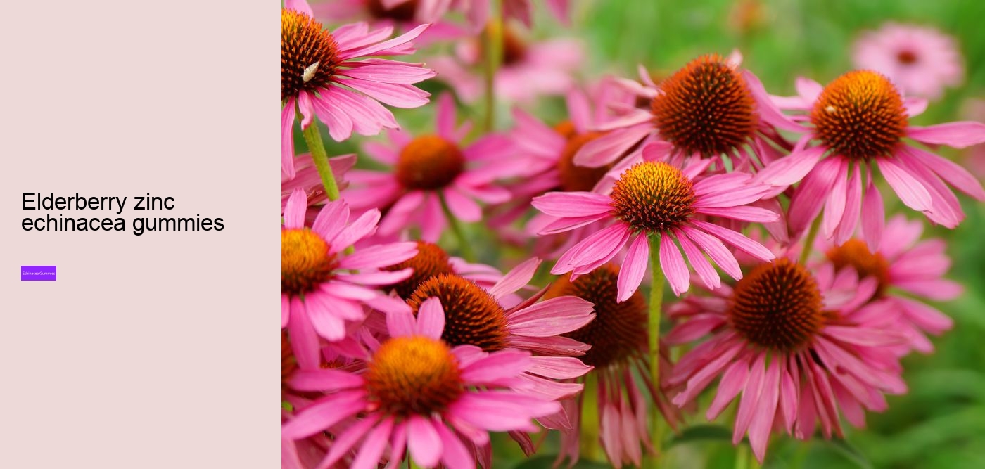 elderberry gummies with zinc echinacea vitamin c and