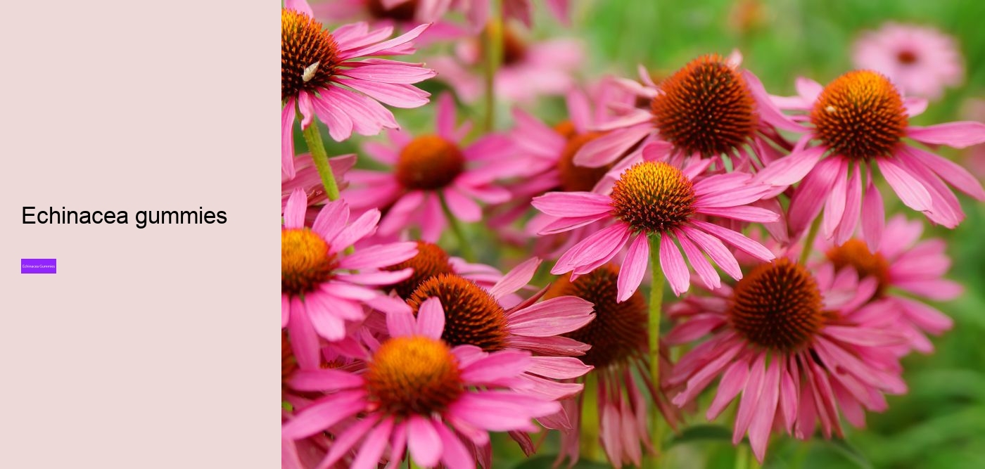 elderberry echinacea gummies