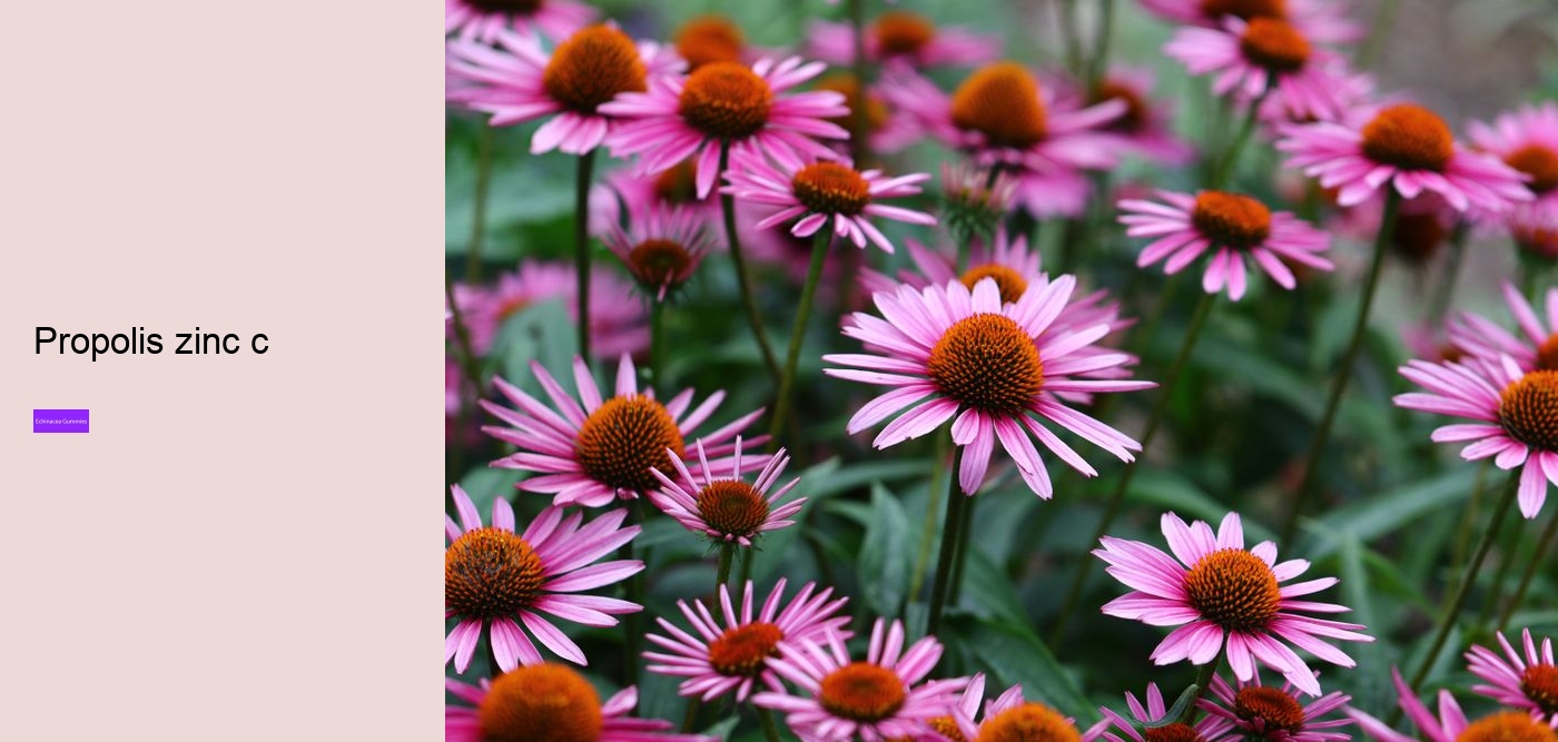 What are the pros and cons of echinacea?