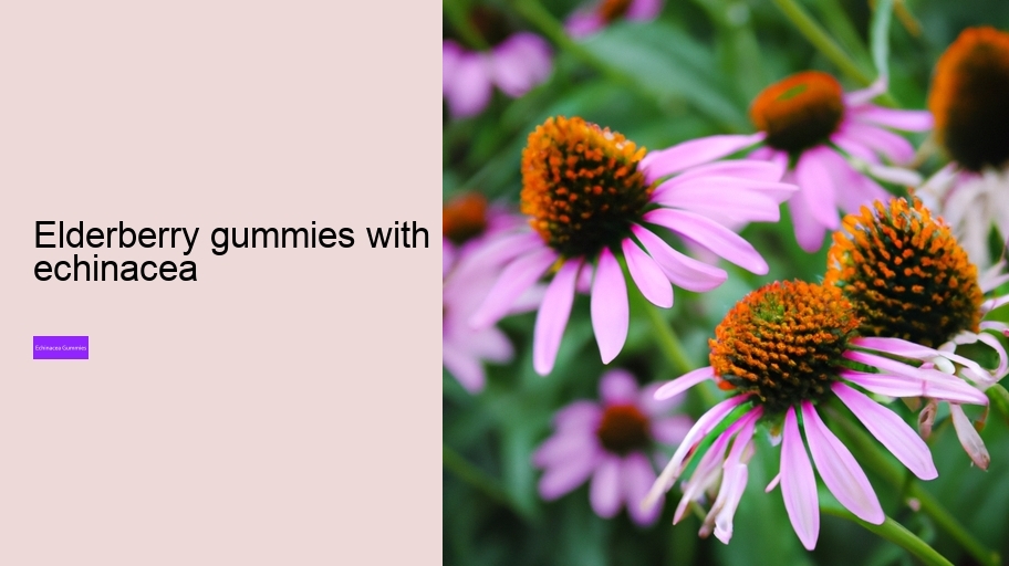 elderberry gummies with echinacea