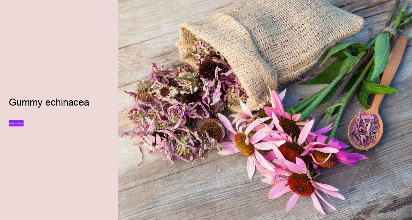 Does echinacea give you energy?