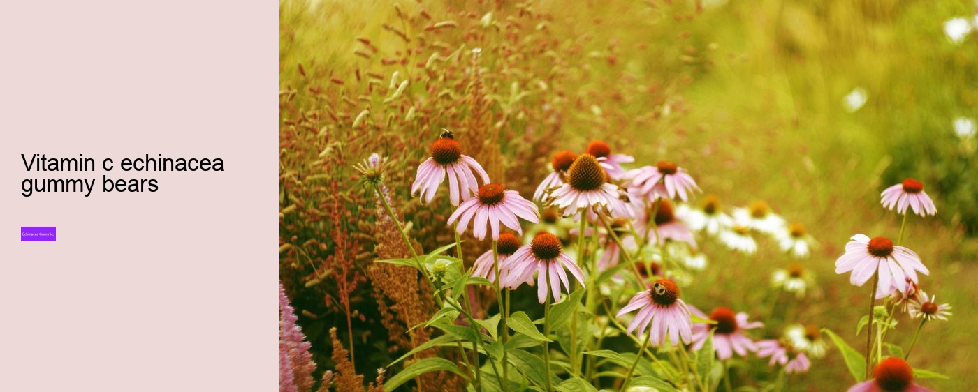 gummy echinacea bears