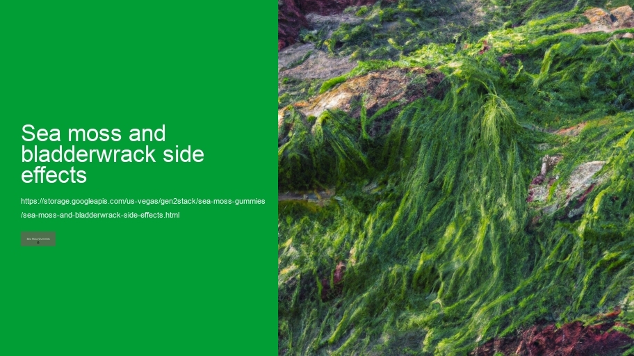 sea moss and bladderwrack side effects