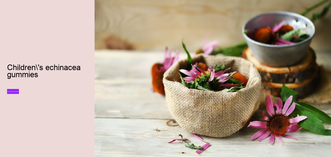 elderberry and echinacea gummies