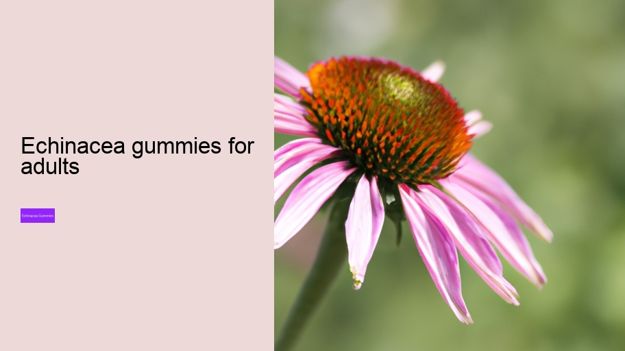 echinacea gummies for adults