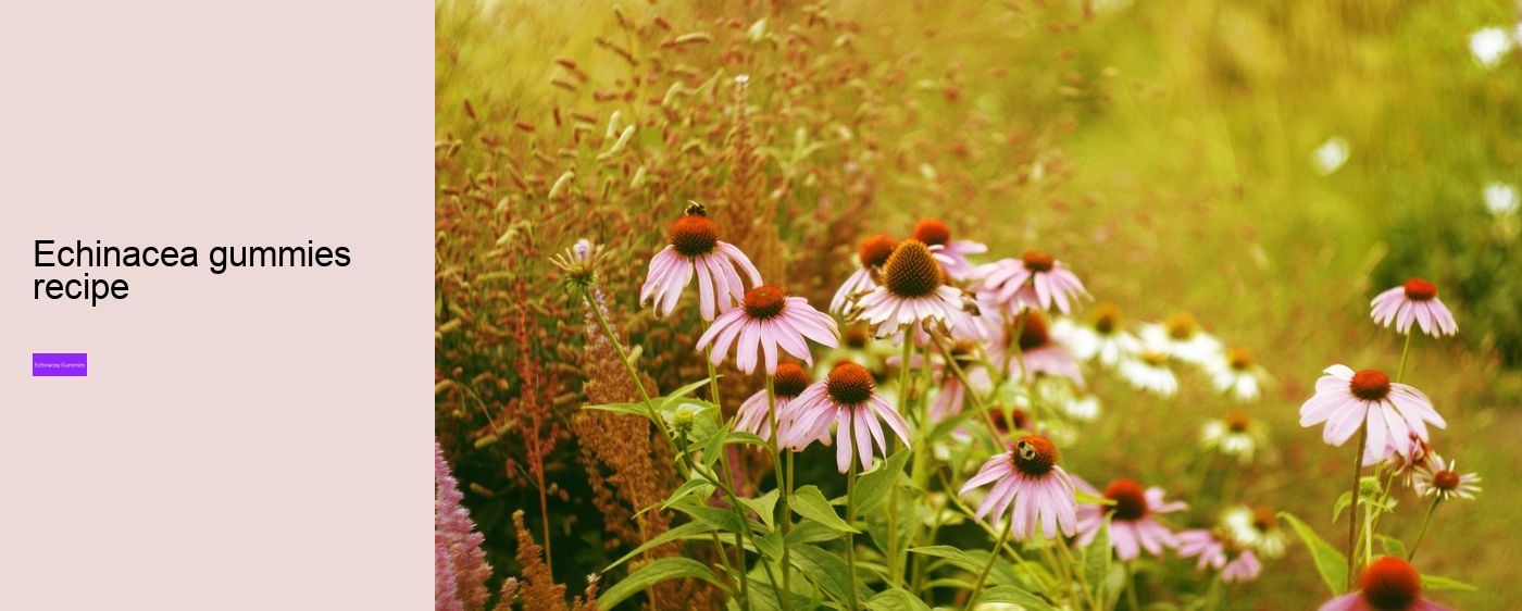 echinacea gummy bears