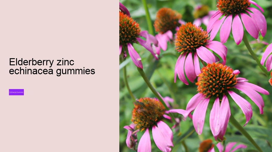 elderberry zinc echinacea gummies