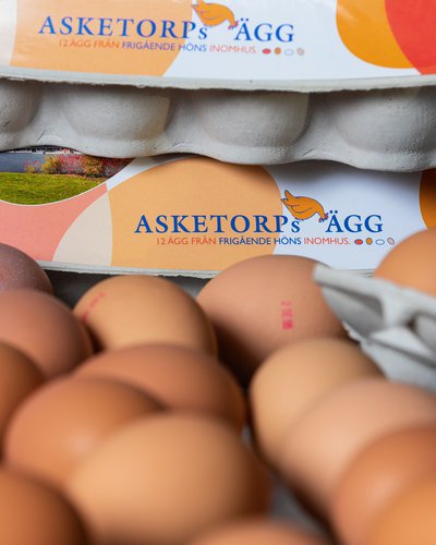 Ägg från Asketorp