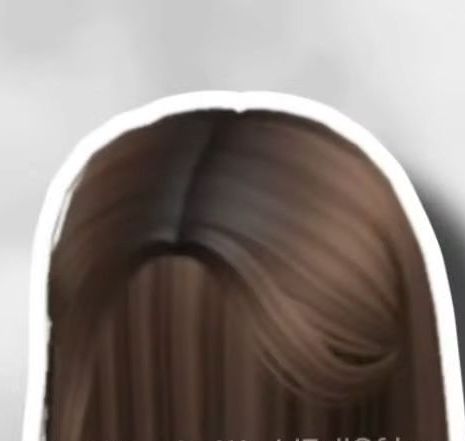 Lush Wavy Hair (Brown) - Roblox