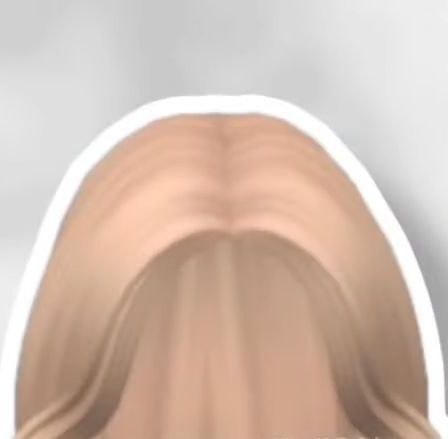 Lush Wavy Hair (Brown) - Roblox