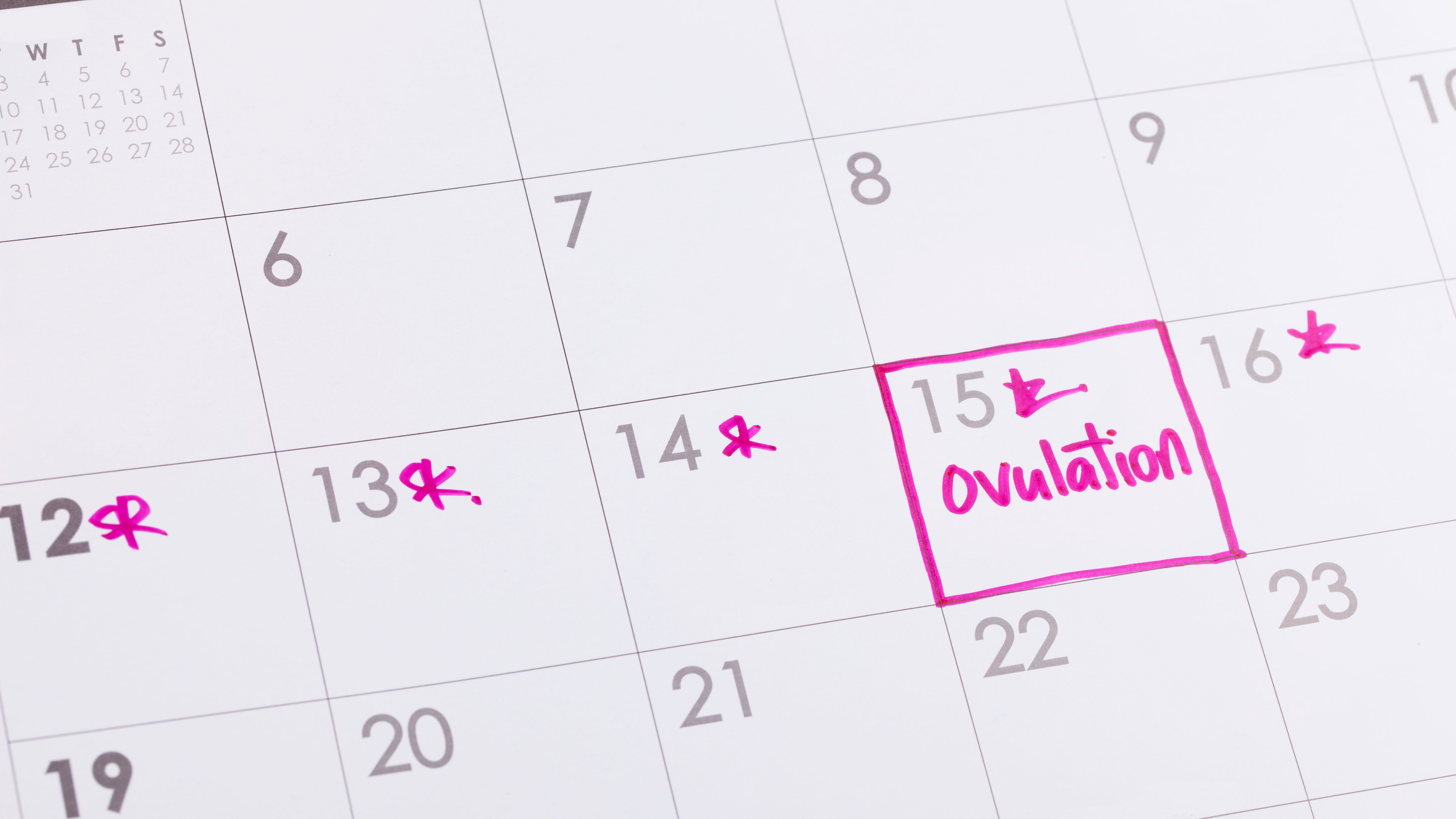 Ovulation and other factors