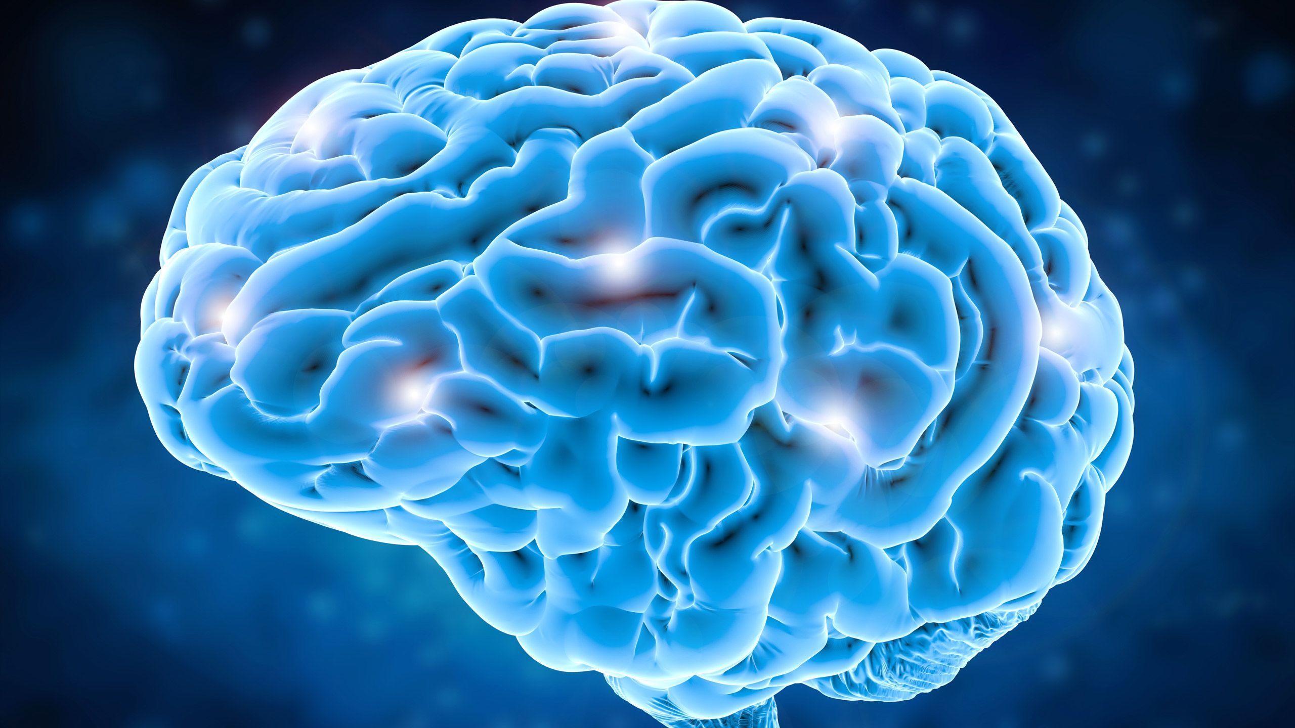 We use a lot more than 10 percent of our brainpower