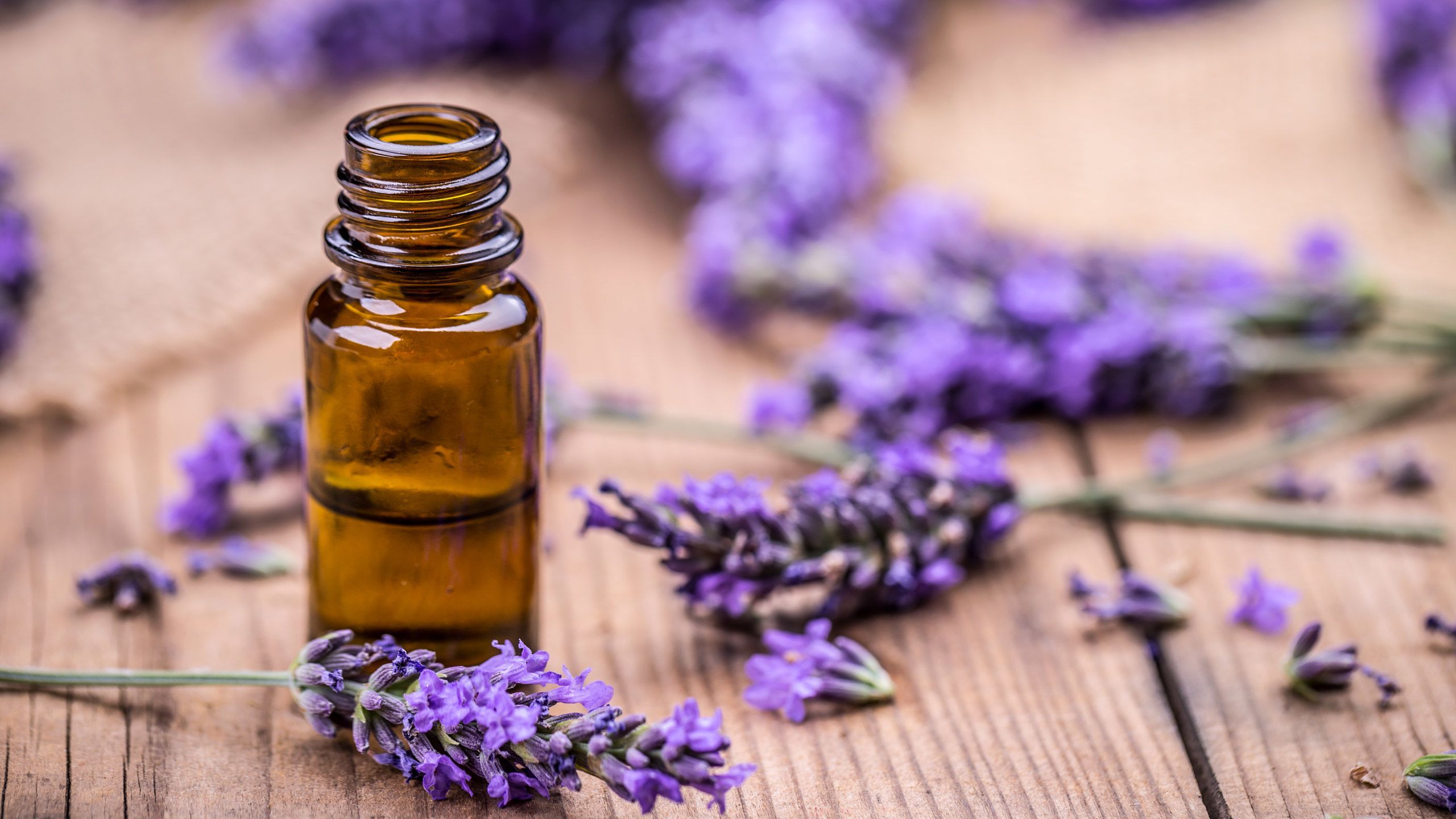 #1: Embrace the lavender herb
