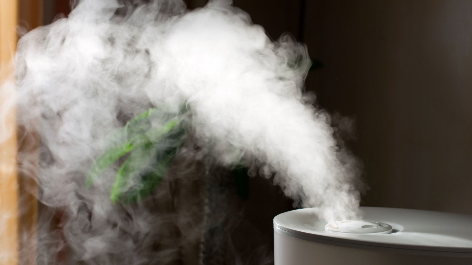 Use a humidifier