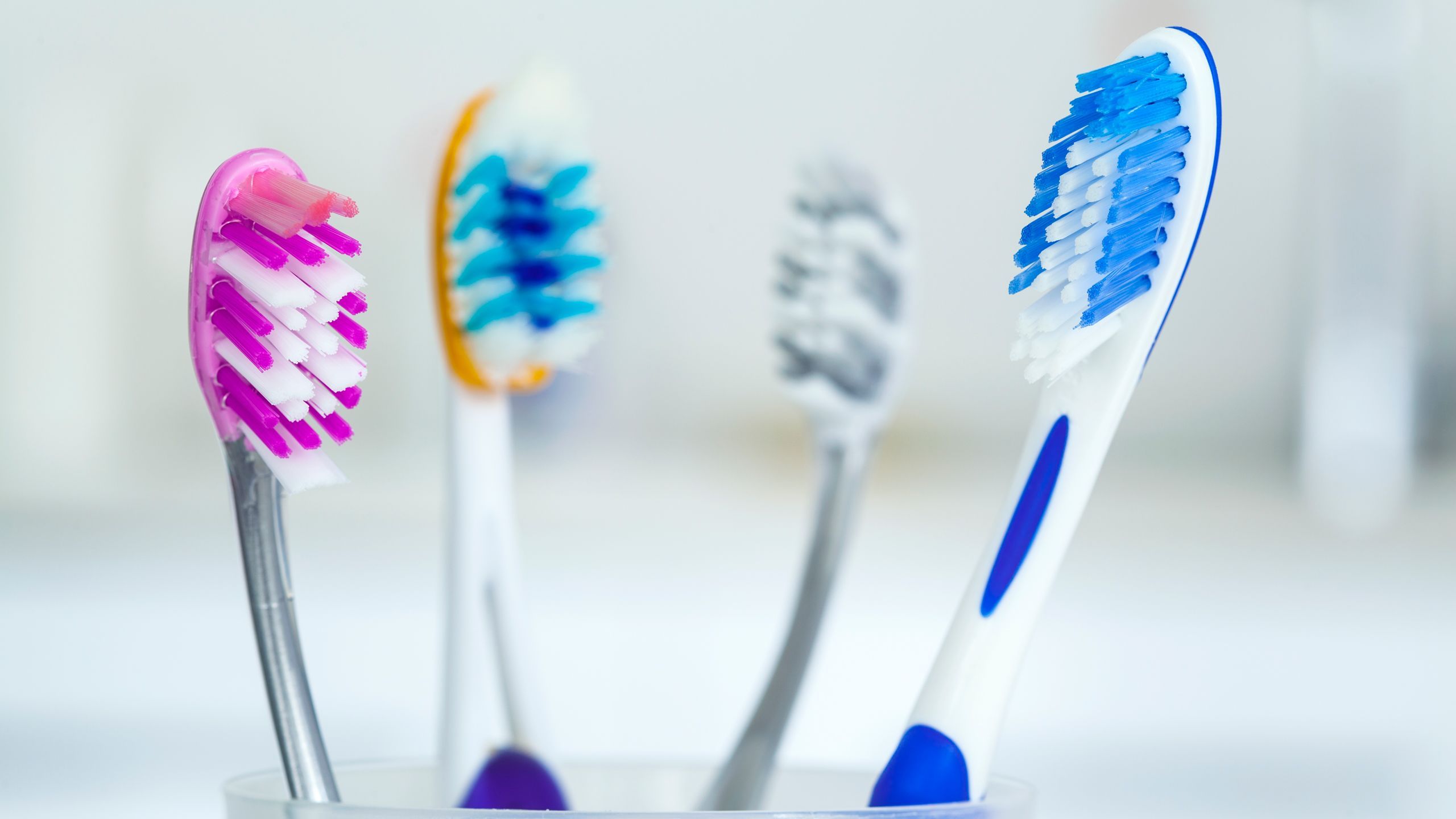 Toothbrush and toothbrush holder