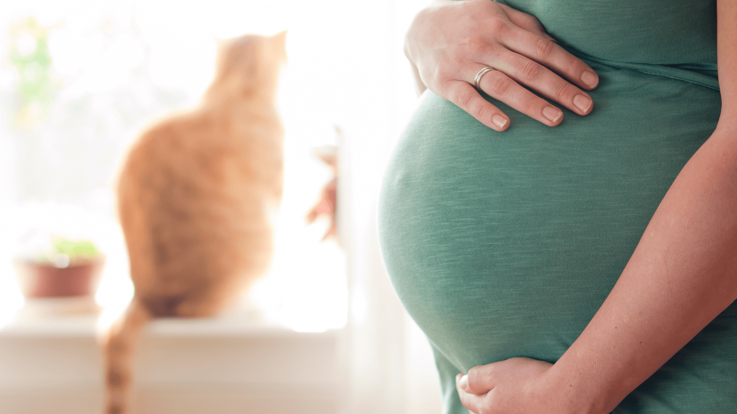 Toxoplasmosis