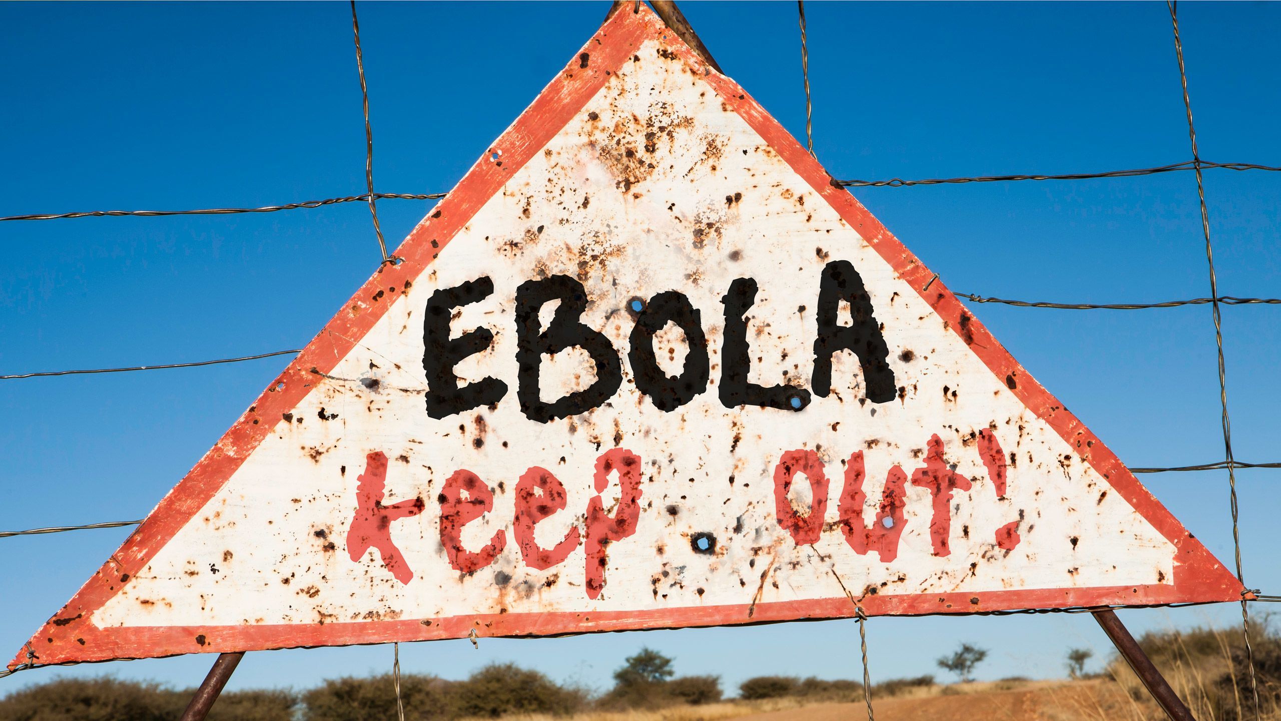 2000 To 2003: Outbreaks continue