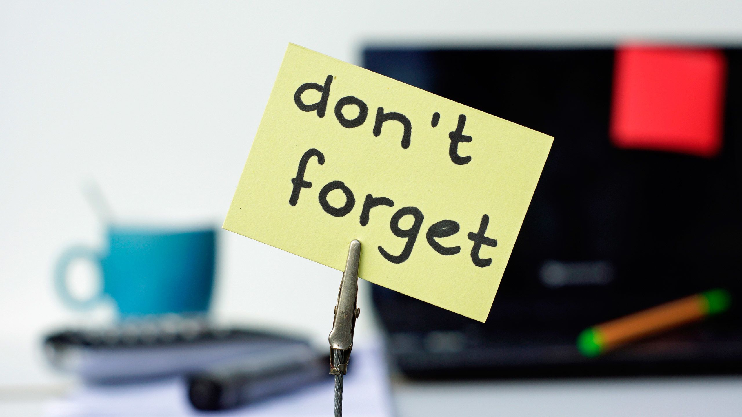 You’ll process information and store memories