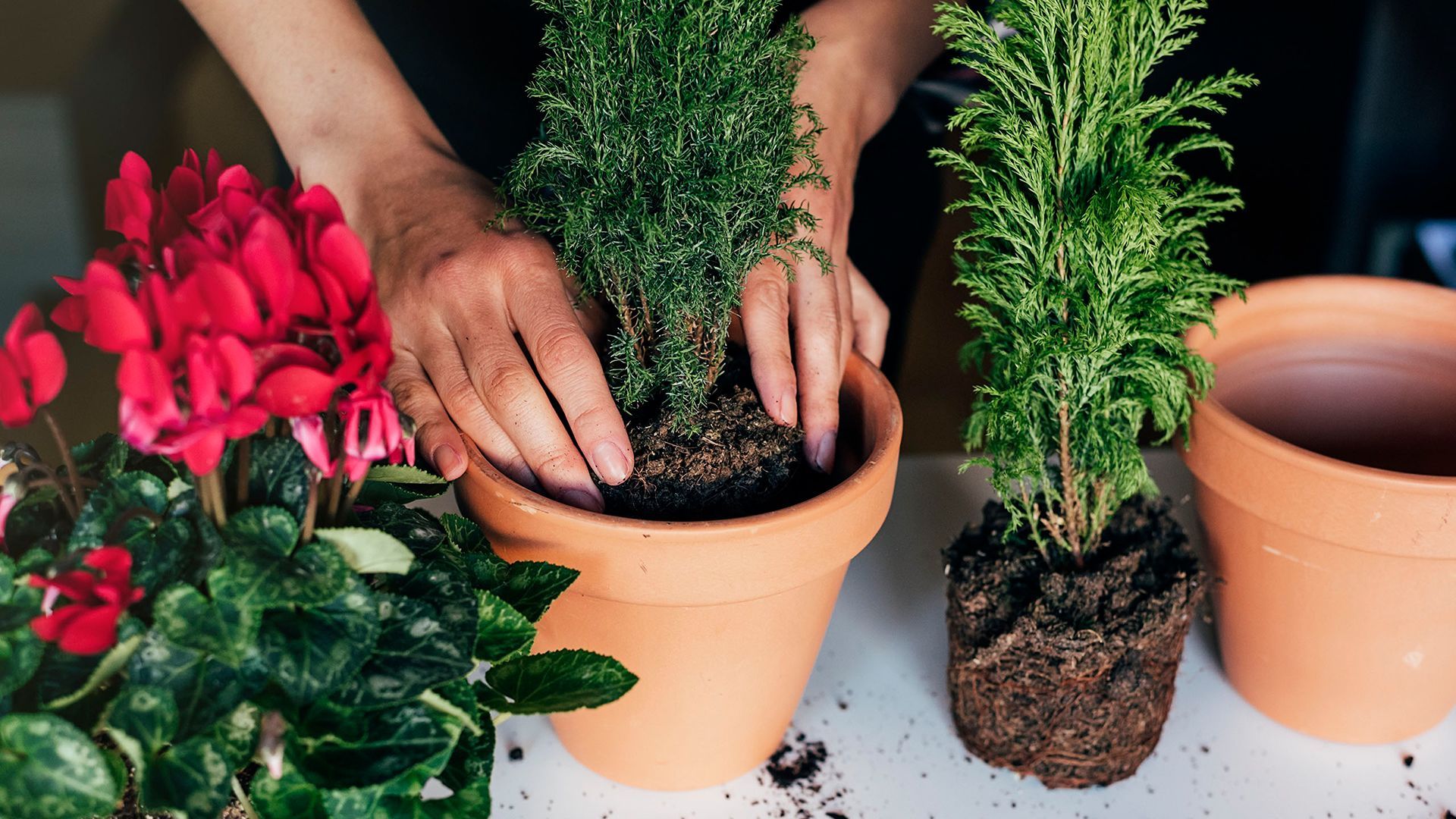 Get your hands dirty