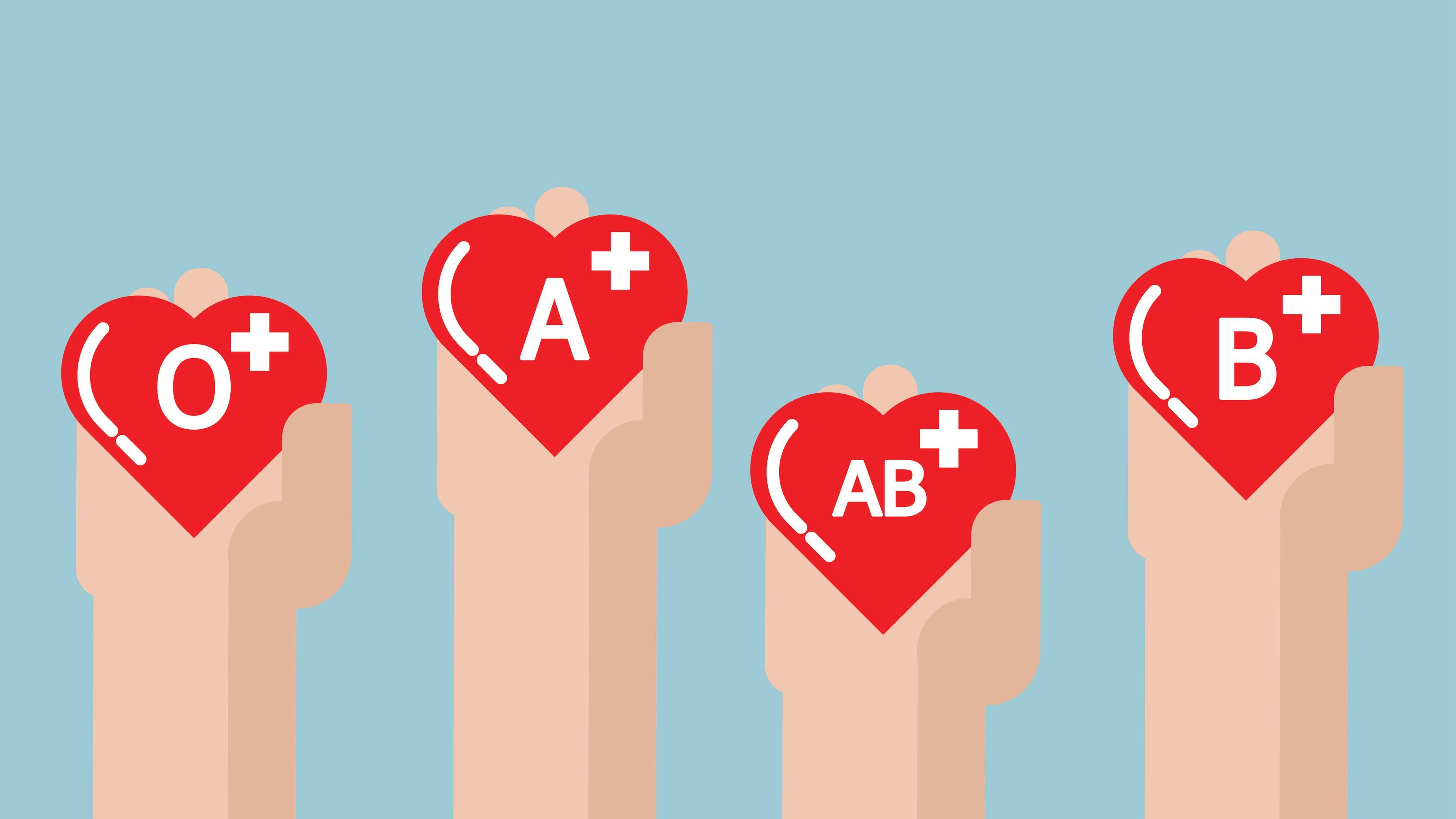 Your body replaces its own blood supply