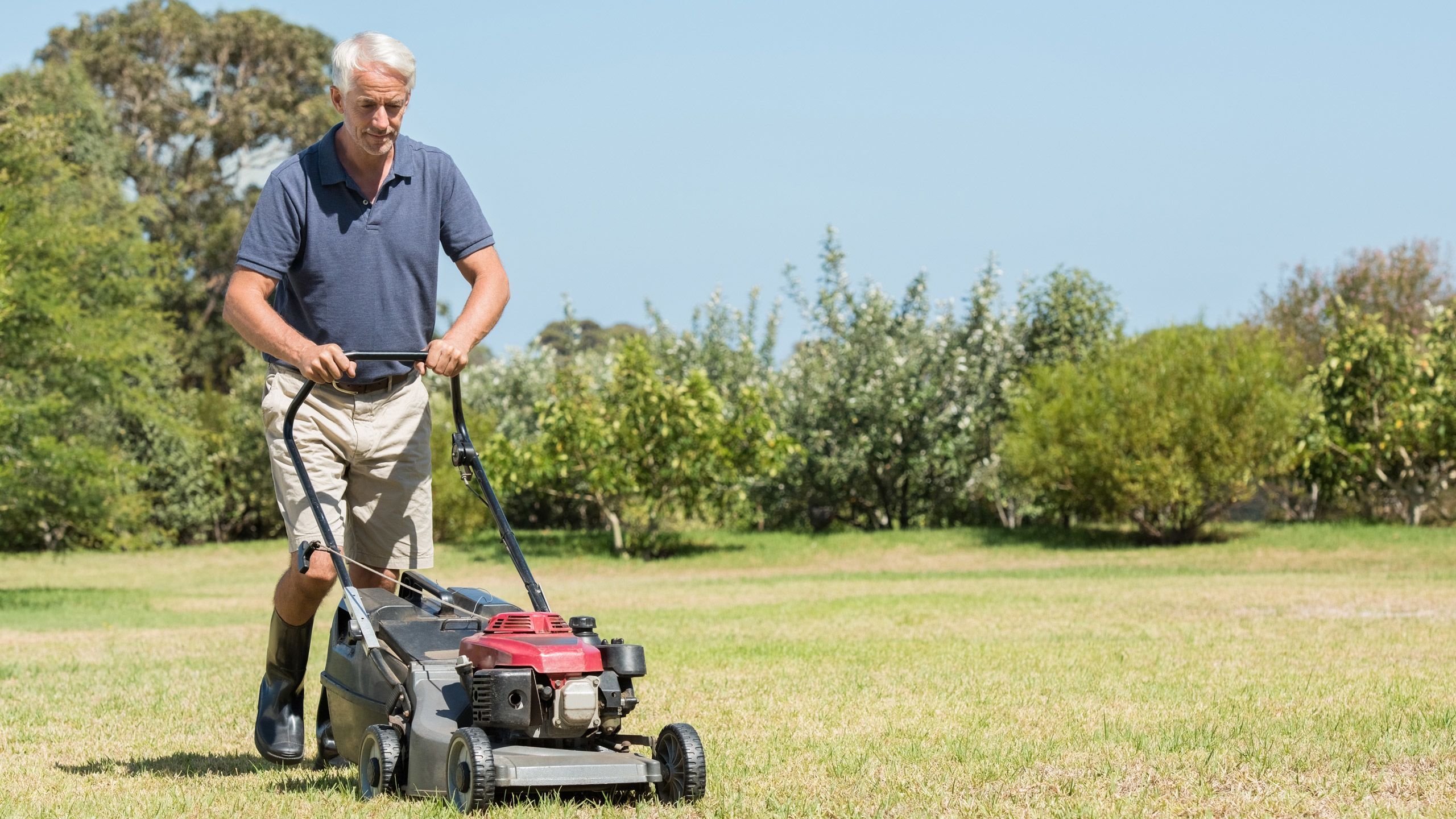 Mowing the lawn