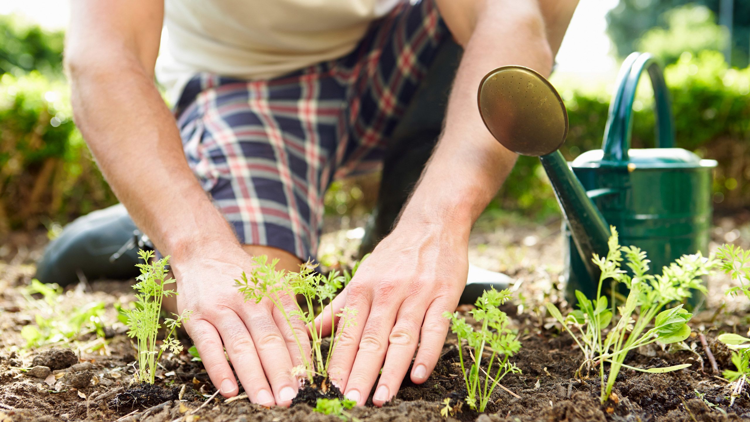 Gardening and yard work