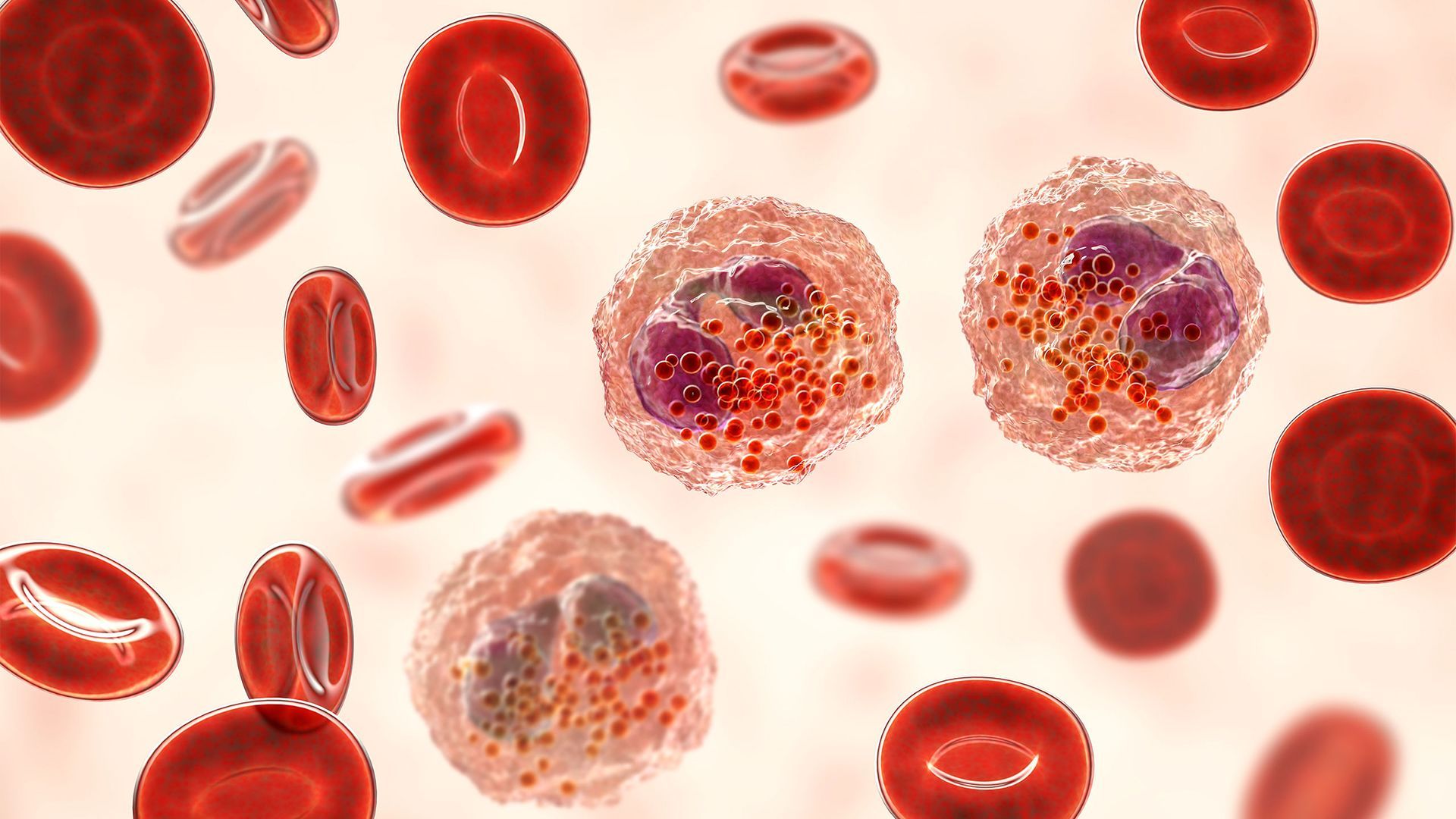 Eosinophils