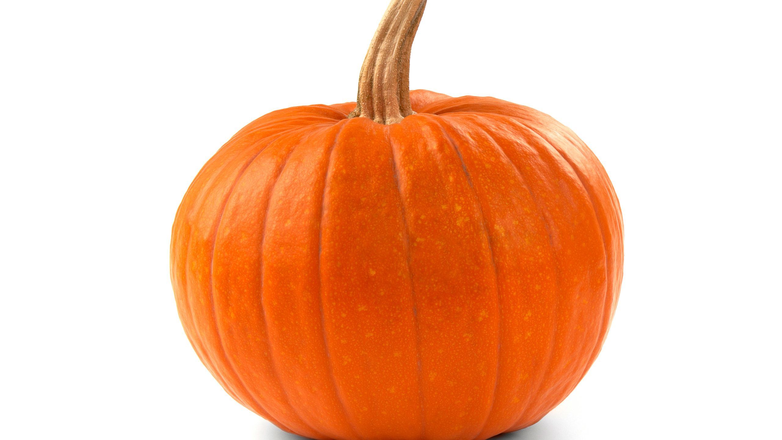 Size at 40 weeks: Small pumpkin