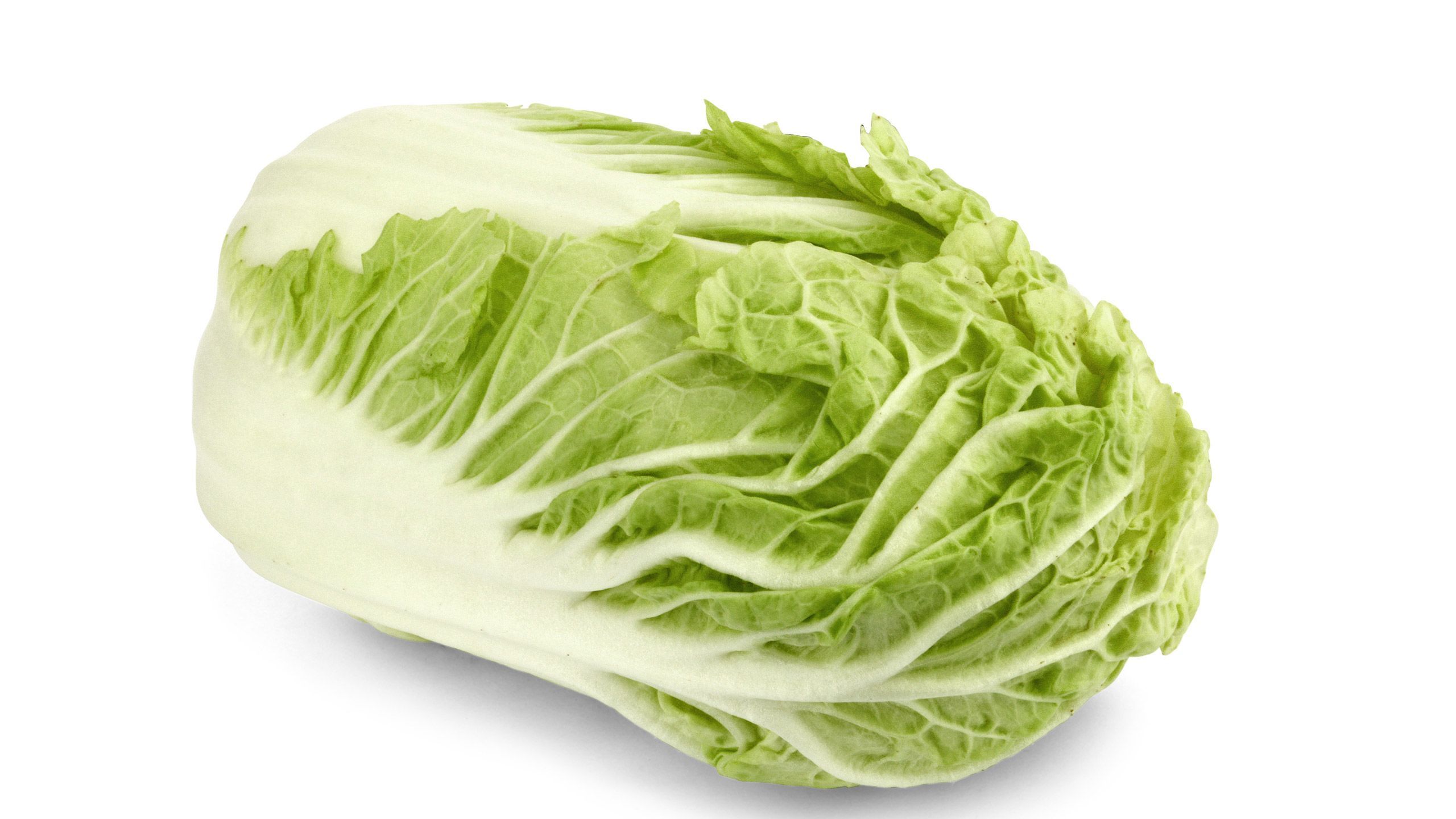 Size at 32 weeks: Napa cabbage