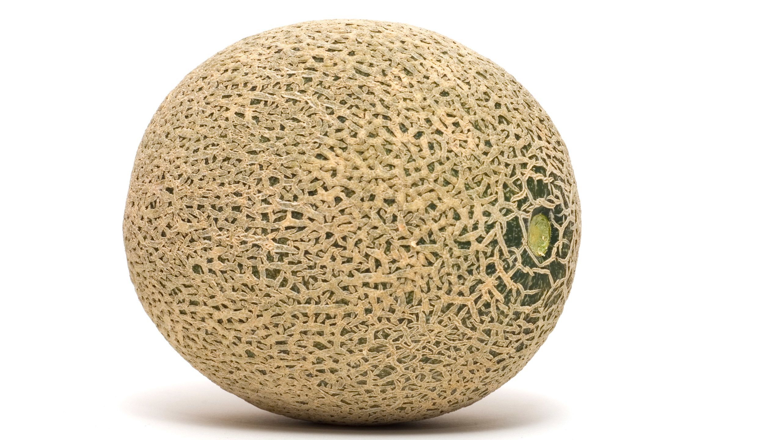 Size at 34 weeks: Cantaloupe