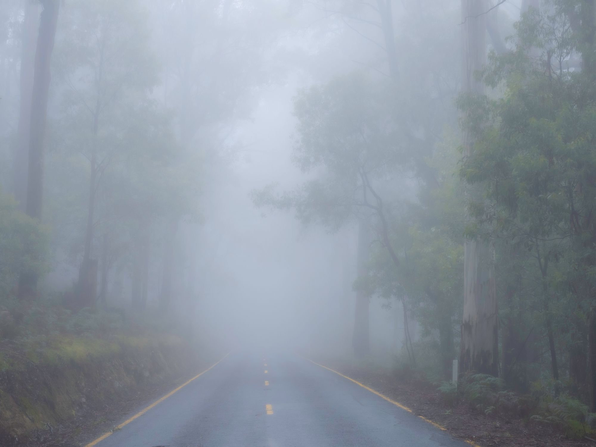 Cloudy vision