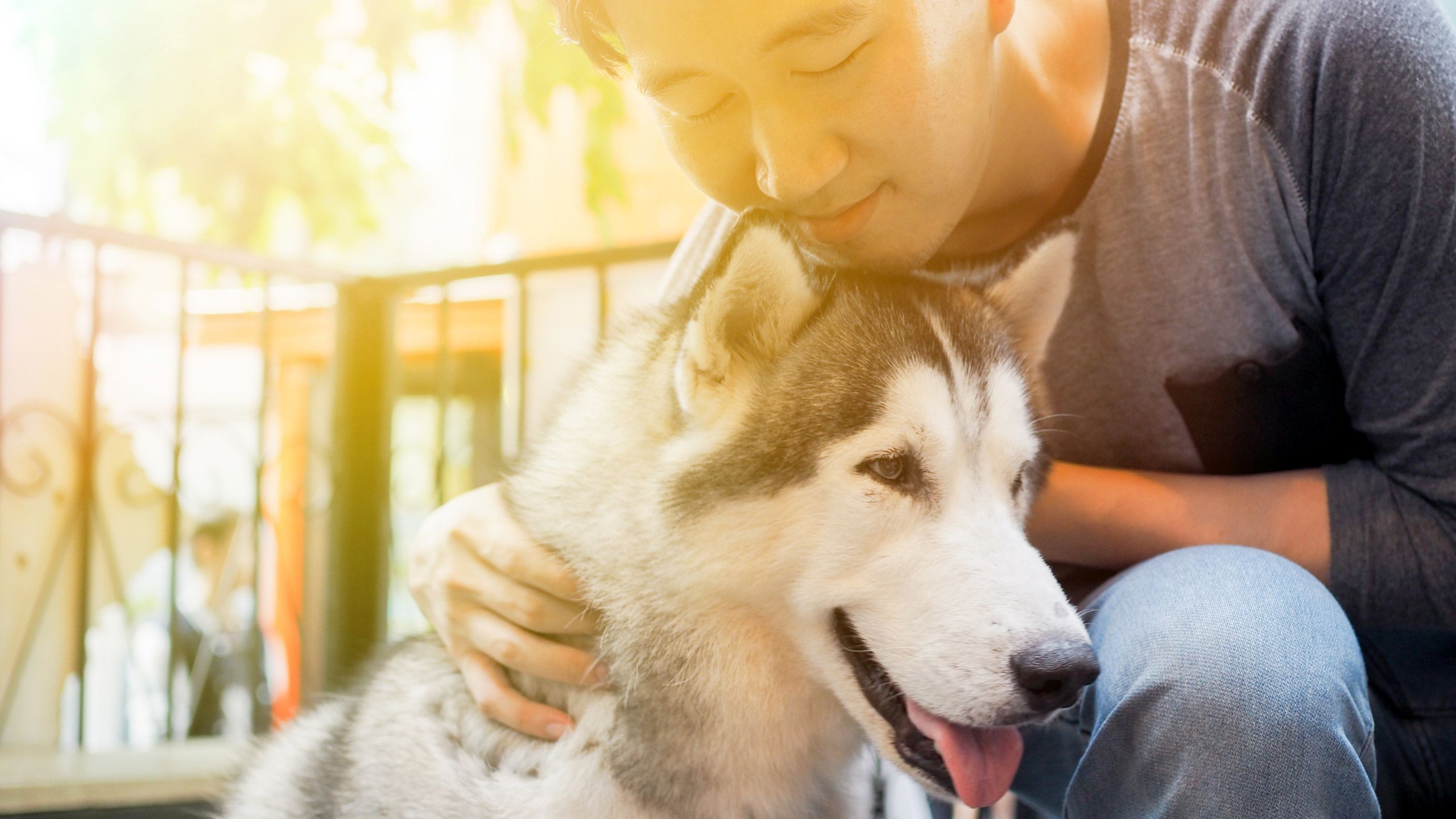 Pets give you a sense of purpose