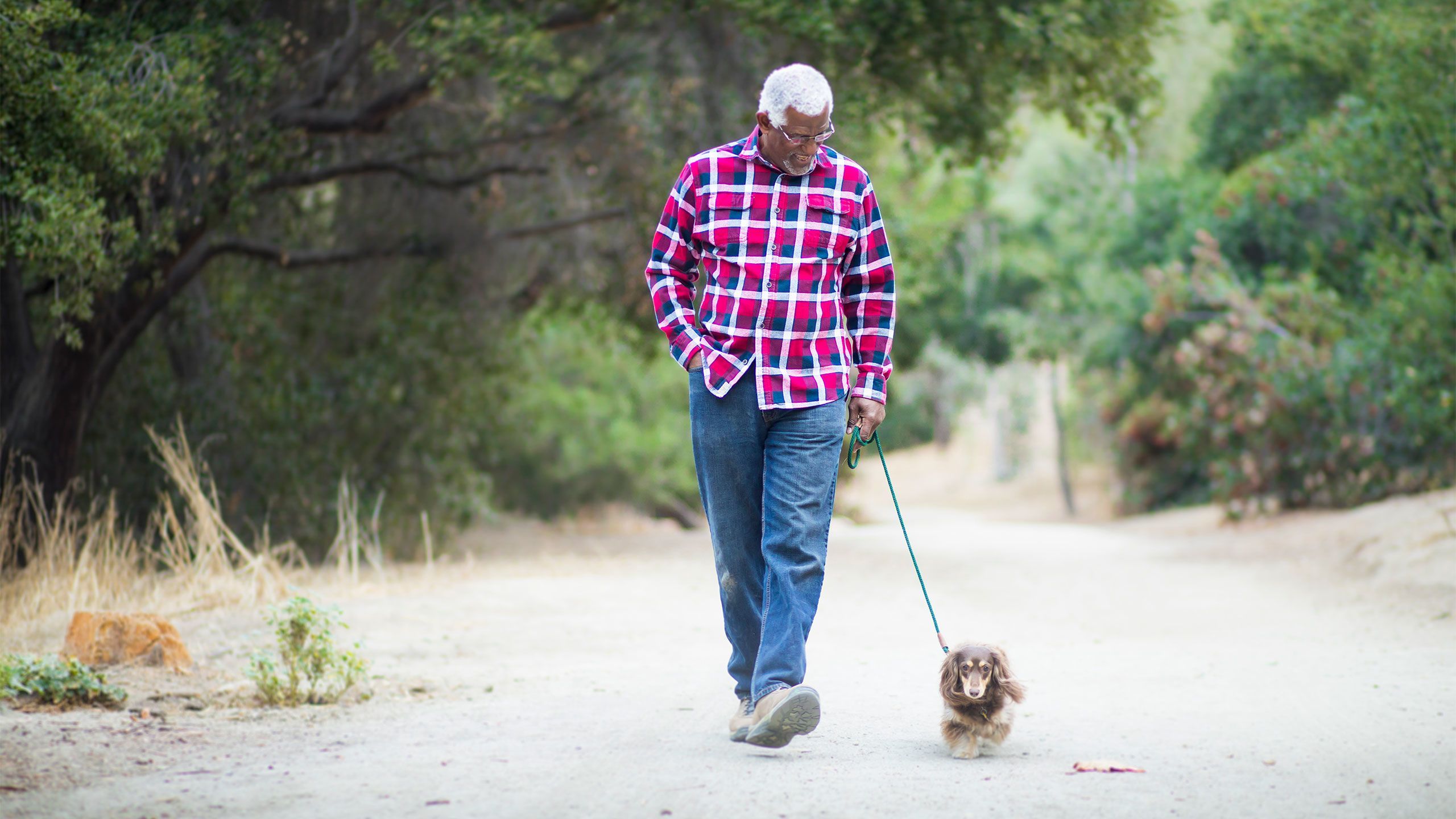 Make walking your dog a workout