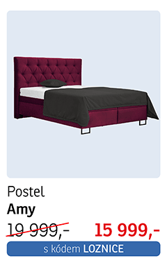 Postel Amy