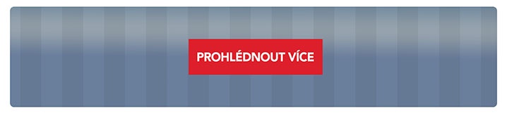 Prohlédnout