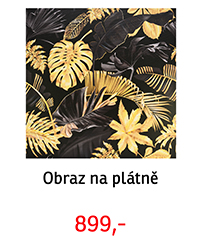 Obraz na plátně