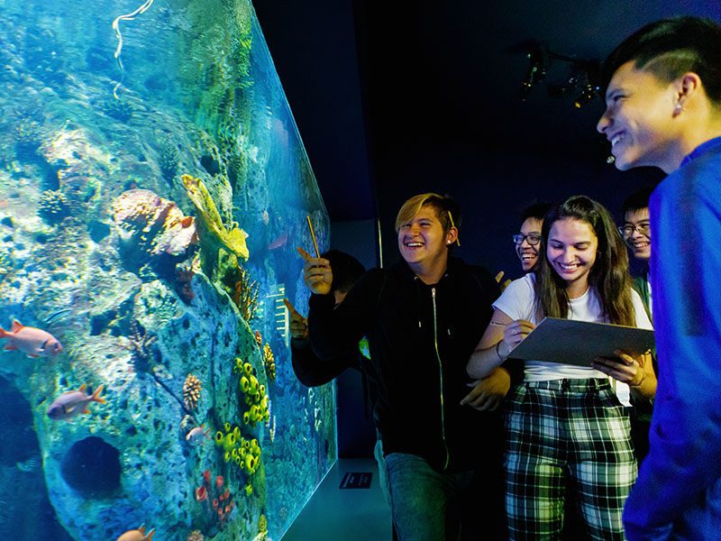 Atlantis Aquarium Madrid