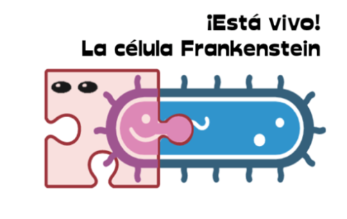 CIBMS | ¡Está vivo! La célula Frankenstein